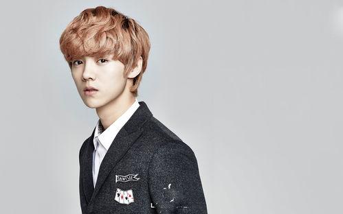 鸭脖哥鹿晗爆料视频播放,鸭脖哥爆料视频幕后真相大揭秘 第1张 鸭脖哥鹿晗爆料视频播放,鸭脖哥爆料视频幕后真相大揭秘 第1张